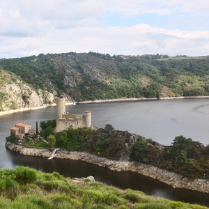 conseil scientifique2 enews